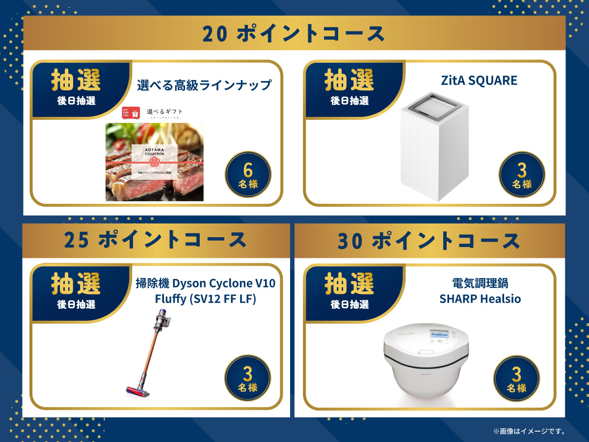サニパック ポイントプログラム　20、25、30ポイントコース
